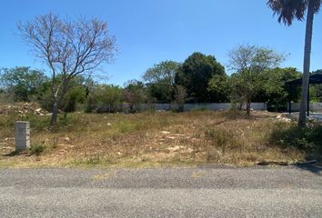 Lote de Terreno en  Chicxulub Pueblo, Yucatán, México