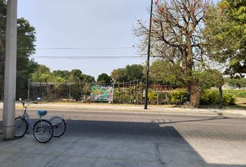 Lote de Terreno en  Avenida 13 Oriente, San Pablo Tecamac, Cholula De Rivadavia, Puebla, México