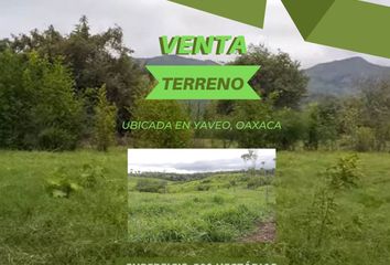 Lote de Terreno en  Santiago Yaveo, Oaxaca, México
