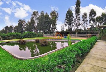 Terreno en  Pisco, Ica, Perú