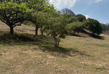 Lote de Terreno en  Club Campestre Paraíso Del Conquistador, Camino Real, Totolapan, Morelos, México