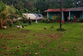 Villa-Quinta en  Lejanías, Meta