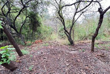 Lote de Terreno en  Bosque De Mazamitla 6-lote 20, Colorado, Las Cañadas, Jalisco, México