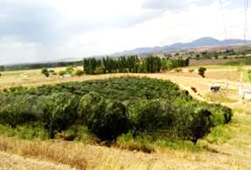 Lote de Terreno en  Guerrero, Chihuahua, Mex