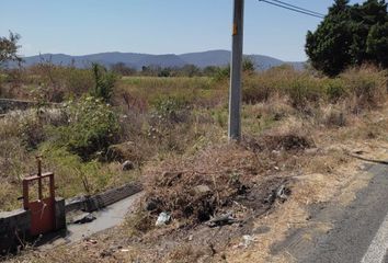 Lote de Terreno en  Jantetelco, Morelos, México