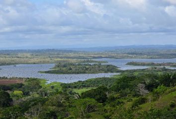 Lotes y Terrenos en  Green Dream - Los Tinajones, Las Mendozas, Panama, Panamá