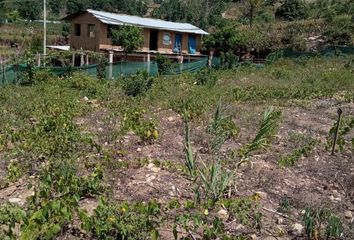 Terreno en  La Banda, Simón Bolívar, Cascas, La Libertad, Perú