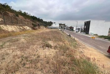 Terreno Comercial en  Etapa Magna, Av León Febres Cordero Ribadeneyra, Samborondón, Ecuador