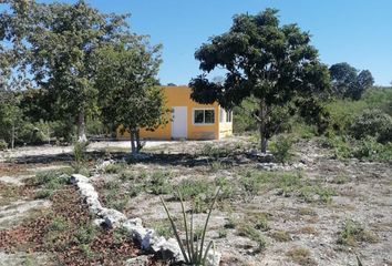Rancho en  Hacienda El Cuyo, Tizimín