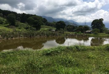 Villa-Quinta en  San Francisco, Cundinamarca, Colombia