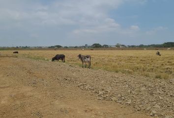 Terreno Comercial en  La Puntilla (satélite), Samborondón