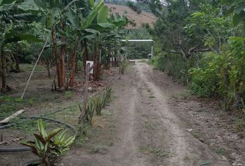 Hacienda-Quinta en  2h4m+75r, E39, Río Chico, Ecuador