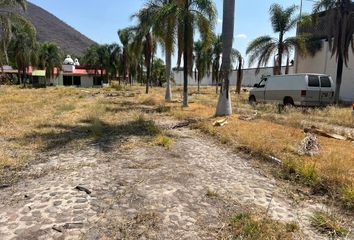 Lote de Terreno en  Santa Cruz De Las Flores, Tlajomulco De Zúñiga