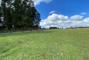 Parcela en  Villarrica, Cautín