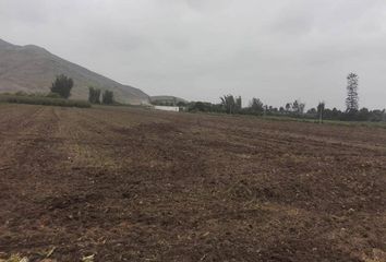 Terreno en  Chancay, Huaral