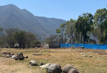 Lote de Terreno en  Camino A Pemex, Nogales, Veracruz De Ignacio De La Llave, Mex