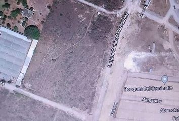 TERRENO USO COMERCIAL EN VENTA EN SAN MATEOS - JUAREZ