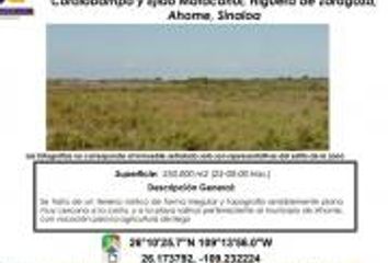 Lote de Terreno en  Ahome, Sinaloa, Mex