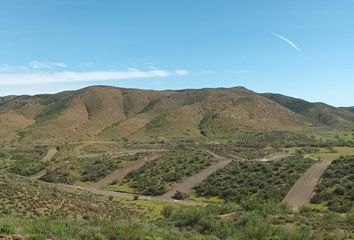 Lote de Terreno en  Vallecitos Park, La Ruta Del Vino, Asufre, Baja California, México