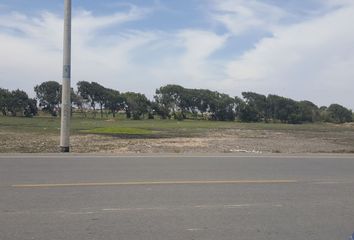 Terreno en  Criadero De Avestruces, Pimentel, Perú