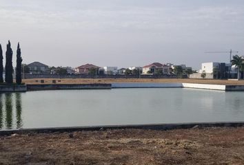 Terreno Comercial en  Isla Mocoli, Samborondón, Ecuador