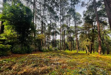 Lote de Terreno en  Balcones, Valle De Bravo, México, Mex