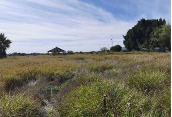 Lote de Terreno en  La Misión, Hermosillo