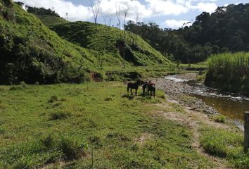 Villa-Quinta en  San Roque, Antioquia, Colombia