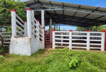 Villa-Quinta en  Fww2+r3 Paratebueno, Cundinamarca, Colombia