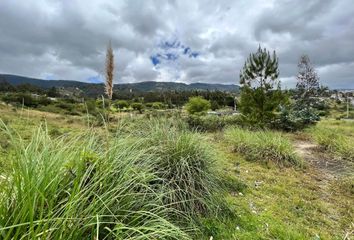 Terreno Comercial en  Loja