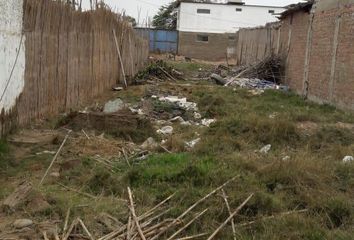 Terreno en  Jorge Chavez, Cerro Azul, Perú