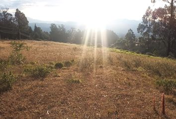 Terreno Comercial en  Checa, Ecuador