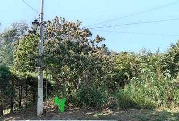 Lote de Terreno en  Bosques De La Primavera, Las Cañadas, Jalisco, México