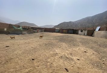 Terreno en  Comunidad Campesina De Collanac, Pachacamac, Perú