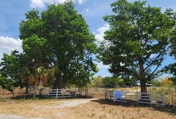 Lote de Terreno en  24313, Nicolás Bravo, Campeche, Mex