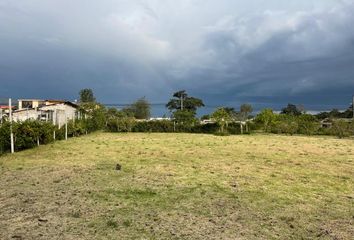 Terreno Comercial en  Rjhh+6cf, Carrera Teófilo Ellías, Puembo 170179, Ecuador