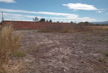 Lote de Terreno en  Atotonilco El Bajo, Jalisco, México