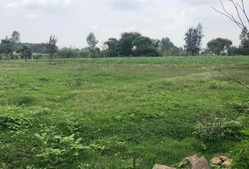 Lote de Terreno en  Calle Extramuro, La Cofradía, San Pedro Tlaquepaque, Jalisco, 45630, Mex