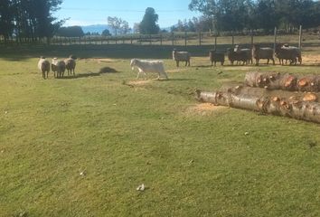 Parcela en  Calle Concepción, Lago Ranco, Ranco, Los Ríos, 5220000, Chl