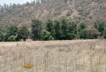 Lote de Terreno en  Ixtacuixtla De Mariano Matamoros, Tlax., México