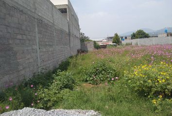 Lote de Terreno en  Tezontle, Centro, Ixtapaluca, Estado De México, México