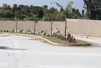 Lote de Terreno en  Calle José María Morelos, Zapopan, Jalisco, Mex