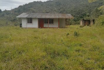 Villa-Quinta en  Santo Domingo, Antioquia, Colombia