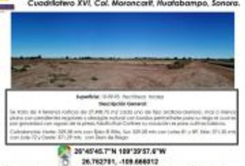 Lote de Terreno en  Huatabampo, Sonora, Mex