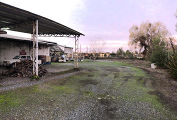 Bodega en  Villa Alegre, Maule, Chile