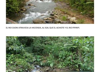 Hacienda-Quinta en  San Miguel De Los Bancos