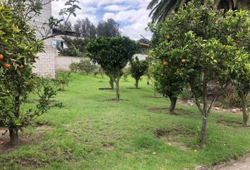 Hacienda-Quinta en  Xm46+mq Quito, Ecuador