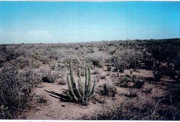 Lote de Terreno en  Son-140, San Ignacio Río Muerto, Sonora, Mex