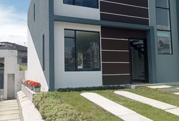 Casa en  Consultorio Médico Inchalillo, Inés Gangotena, Sangolquí, Ecuador