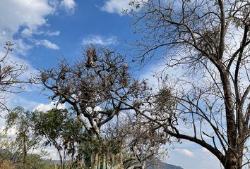 Lote de Terreno en  Los Cedros De Mozoquila, Tepoztlán, Tepoztlán, Morelos, México